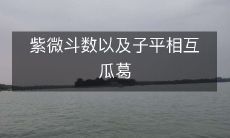 详解紫微斗数和子平之间的历史渊源、互动关系及其影响