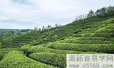 哪些星座男孩很难摆脱前任情结而难以抽身?