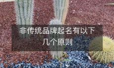 非传统品牌如何起名:遵循以下几个原则