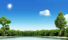 哪个星座的老板在夸夸其谈中最不值得信任？