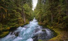 详细探讨书桌摆放时需避免的风水禁忌及其影响