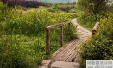 正月初一出生的孩子的命运和一生的财运:预测、分析与探讨