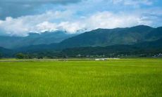 2021年元旦节宝宝出生,根据八字分析,你的宝宝的命运将是什么样的?