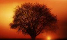 大年初三出生的孩子的性格以及命运如何呢？