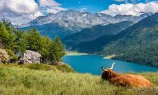 如何选择2020年农历十二月最佳分娩日期？探寻出生在哪一天对宝宝和母亲都最有利