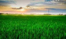 2020年12月24日出生的宝宝五行缺什么，命运如何？