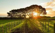 如何通过生辰八字查算贵人运来让自己的命格更加旺盛?