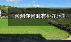 获得桃花运的时间将会是什么时候？