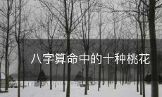 探讨八字算命中所指涉的十种桃花生肖与星盘组合与影响