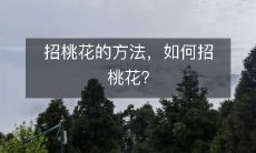 如何增加约会机会,掌握招桃花的妙招?