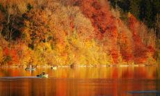 相信向上攀爬,会遇到更优秀的人,这是哪个星座的信仰?