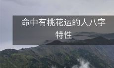 探讨命理学中命中有桃花运的人的八字特点及属性