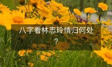 通过八字预测,林志玲未来的爱情道路将会走向何方?