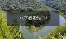 利用八字排盘系统来预测婚姻关系(第一部分)