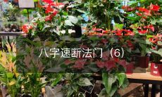 如何使用八字速断法门揭开人生的秘密之六