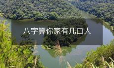 通过八字推算，揭示你家庭的人口数量有多少？