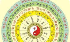 属鼠的2020年农历九月初八出生的宝宝在未来发展中可能表现出卓越品质吗?