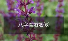 如何从八字中读懂婚姻,掌握八字分析技巧,避免婚姻危机?(八字看婚姻第六篇)