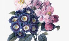 什么样的女命与偏印格男人最为契合?