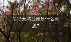 什么是“命犯天煞孤星”,在命理学中又意味着什么?