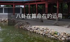 算命和八卦相结合的神秘应用:揭示命运的奥秘和未来趋势