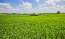 今天2021年1月25日出生的宝宝，根据五行查询，命运如何？挖掘宝宝性格和命理的秘密！