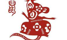 2020年出生于农历八月二十九的宝宝将来有怎样的人生前景?