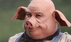 有哪些命格特性的人容易拥有2皮脸的行为表现与性格特征？