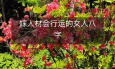 揭秘:如何通过八字看出一个女人的嫁娶是否能带来好运?