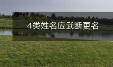 针对4类姓名的不当含义，建议强制更名政策