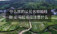 公司起名的重要性：如何选择一个能够带来财富的公司名称？注意这些关键因素！