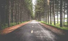 2020年农历十月三十出生的宝宝,五行缺乏哪些元素?他们的命运会如何发展?