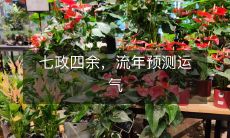 七政四余,根据天文历法的预测来预测每个人的流年运势