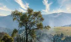 寻找2020年12月20日出生的人生八字是否具有卓越星座特质