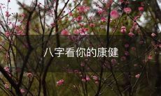 了解你的健康状况从八字出发，如何利用八字推算个人康健状态？