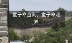 使用中国传统命理方法进行的童子命查询和童子命测算服务