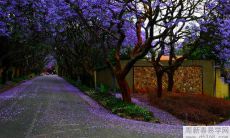 2022年乙巳日柱的人是否会有婚姻运势?