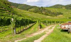 2020年12月30日出生的宝宝的五行缺陷及命运分析：探究未来成长路上可能遇到的挑战和机遇