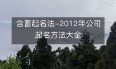 2012年公司命名方法大全:探寻含蓄启示之妙