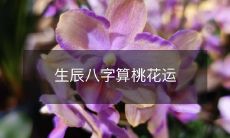 利用生辰八字进行准确预测,探寻荣华富贵,洞悉爱情姻缘,揭开人生桃花运的秘密