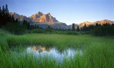 2022年是否适合甲寅日柱的人步入婚姻殿堂?