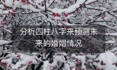 如何通过四柱八字进行深入分析,来准确预测未来婚姻情况?