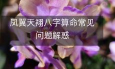 深入解析凤翼天翔八字算命，探究常见问题及解惑！