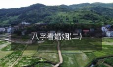 使用八字算命来预测个人婚姻的方法及解析 (第二部分)