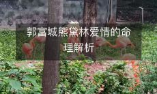 通过命理学解析，探讨郭富城与熊黛林的感情起伏历程