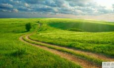 水栖人和木栖人能否和谐共存?