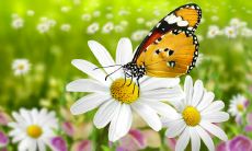 天河水命人:哪几个月出生的天河水命人具有最好的命运发展?