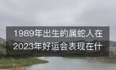 属蛇人出生于1989年，他们在2023年的好运会上将展现出哪些优异的能力和表现呢？