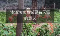 探讨淘宝商城名称更改为天猫所引发的深刻意义及其对电商行业的影响