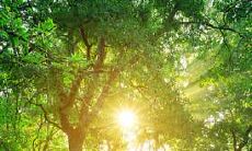 在十二星座中,哪些星座最享受外出游玩和探索不同的体验?